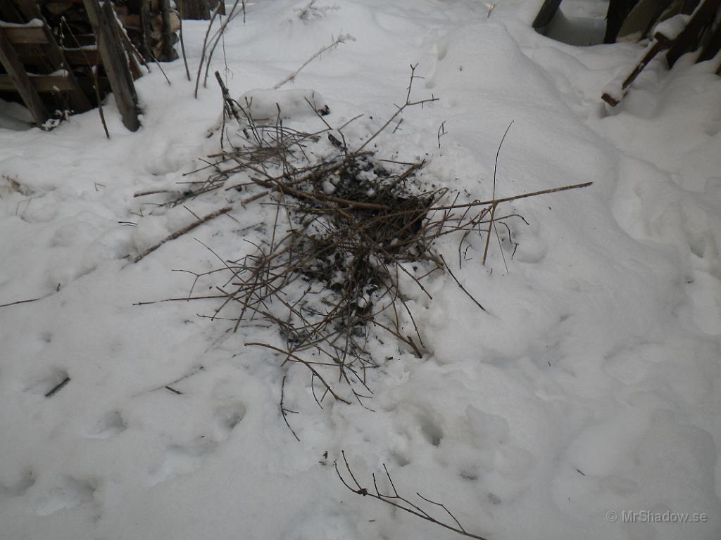 IMGP1880.JPG - 2013-01-21