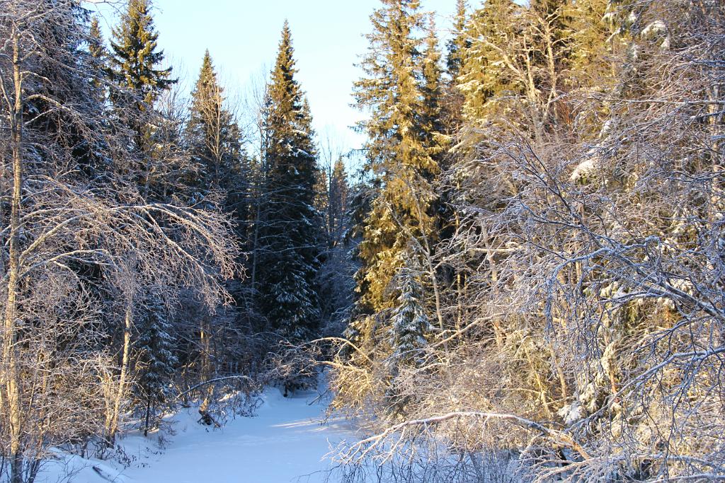 IMG_2986.JPG
