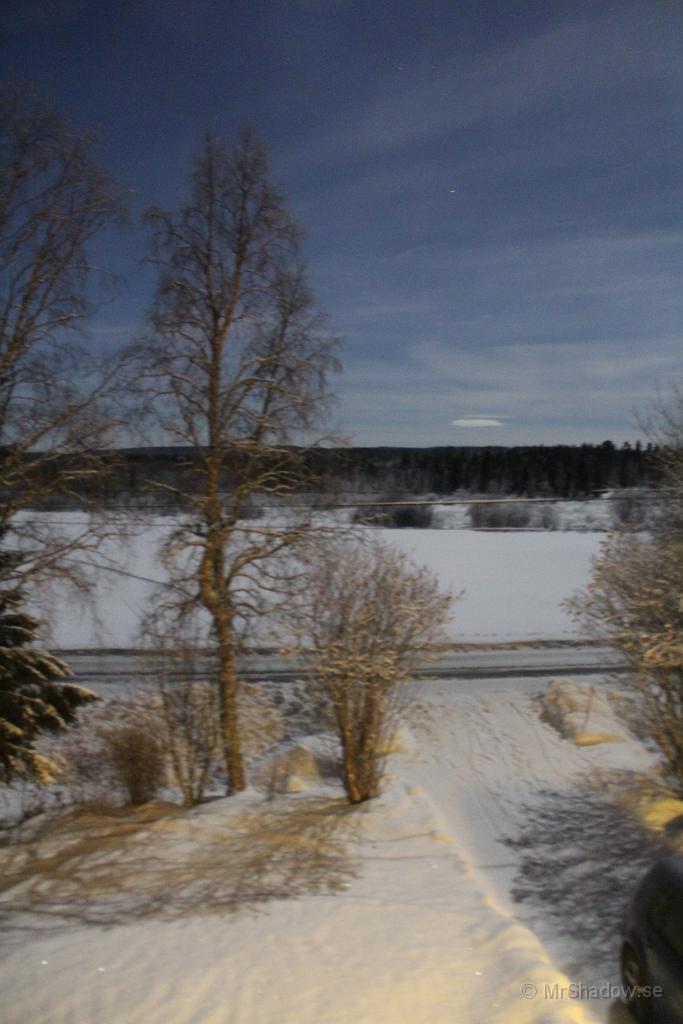 IMG_3051.JPG