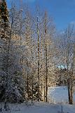 IMG_3026