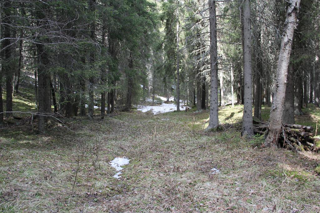 IMG_3286.JPG