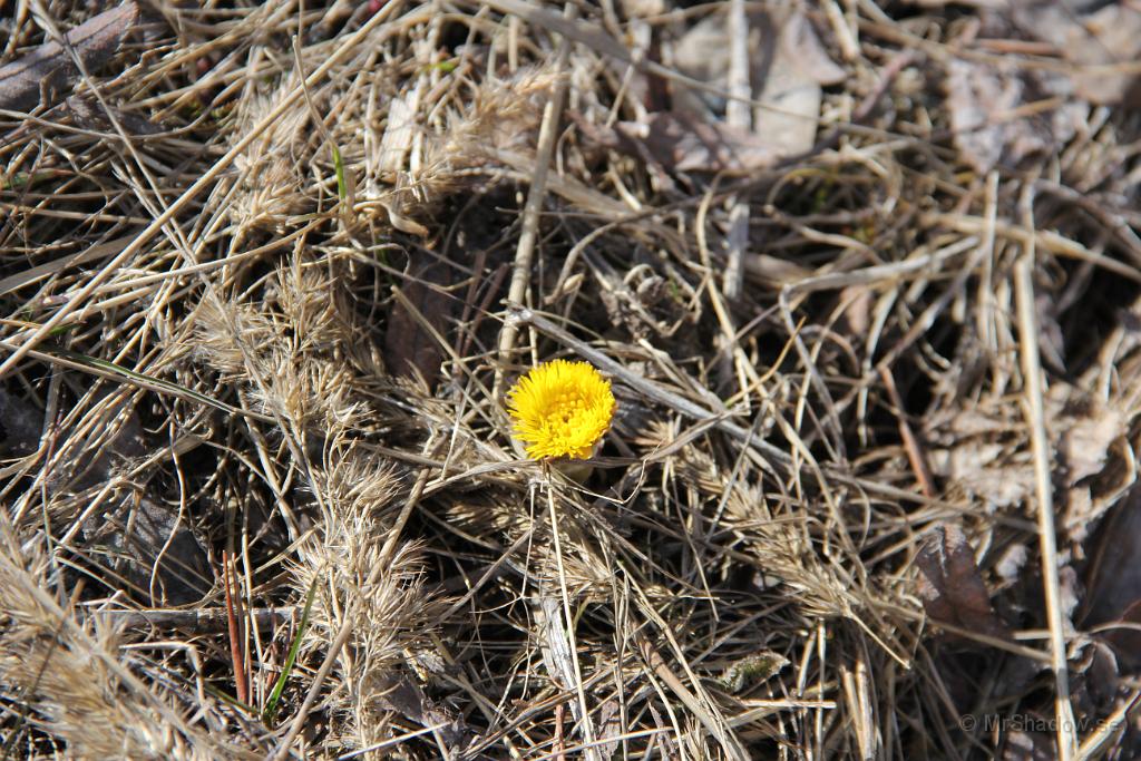 IMG_3296.JPG