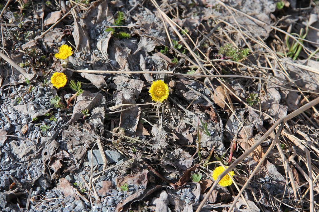 IMG_3297.JPG