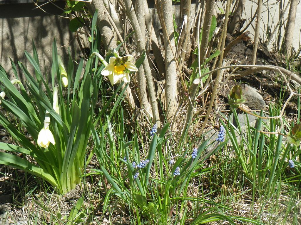 IMGP2172.JPG