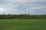 IMG_4605