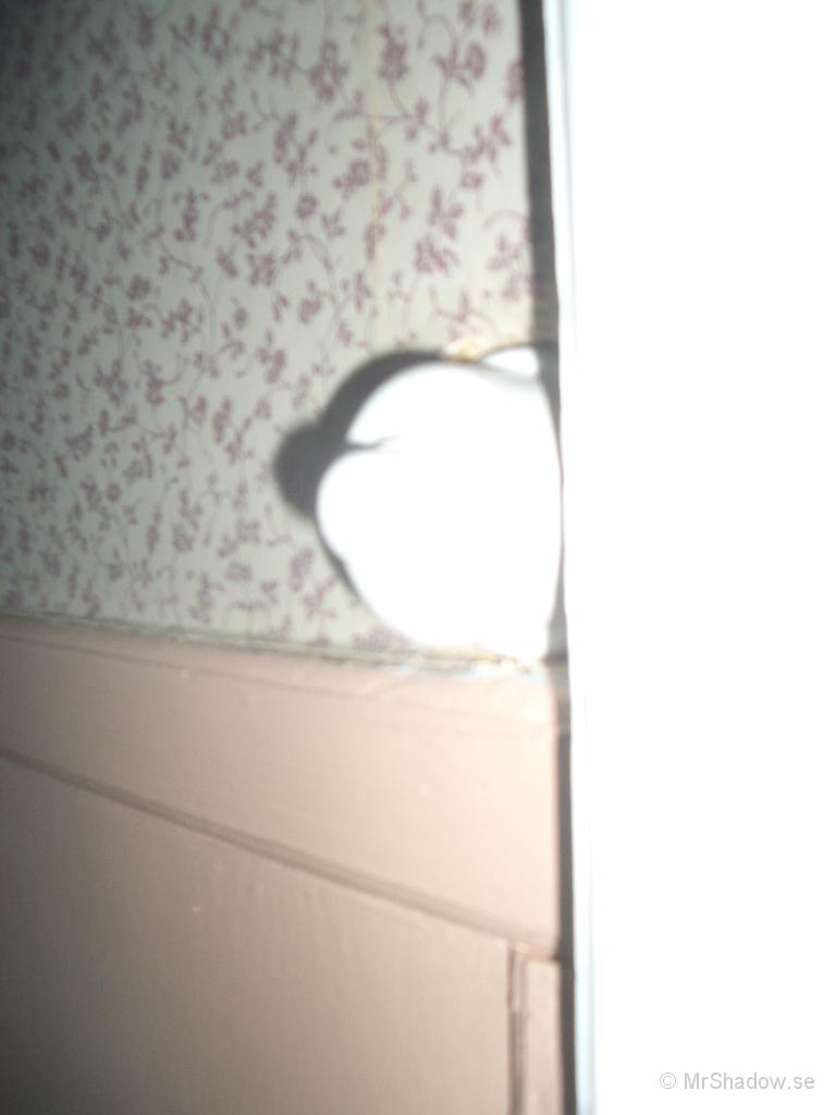 IMGP4049.JPG