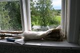 23IMG_2407