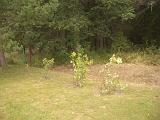 07_IMGP4125