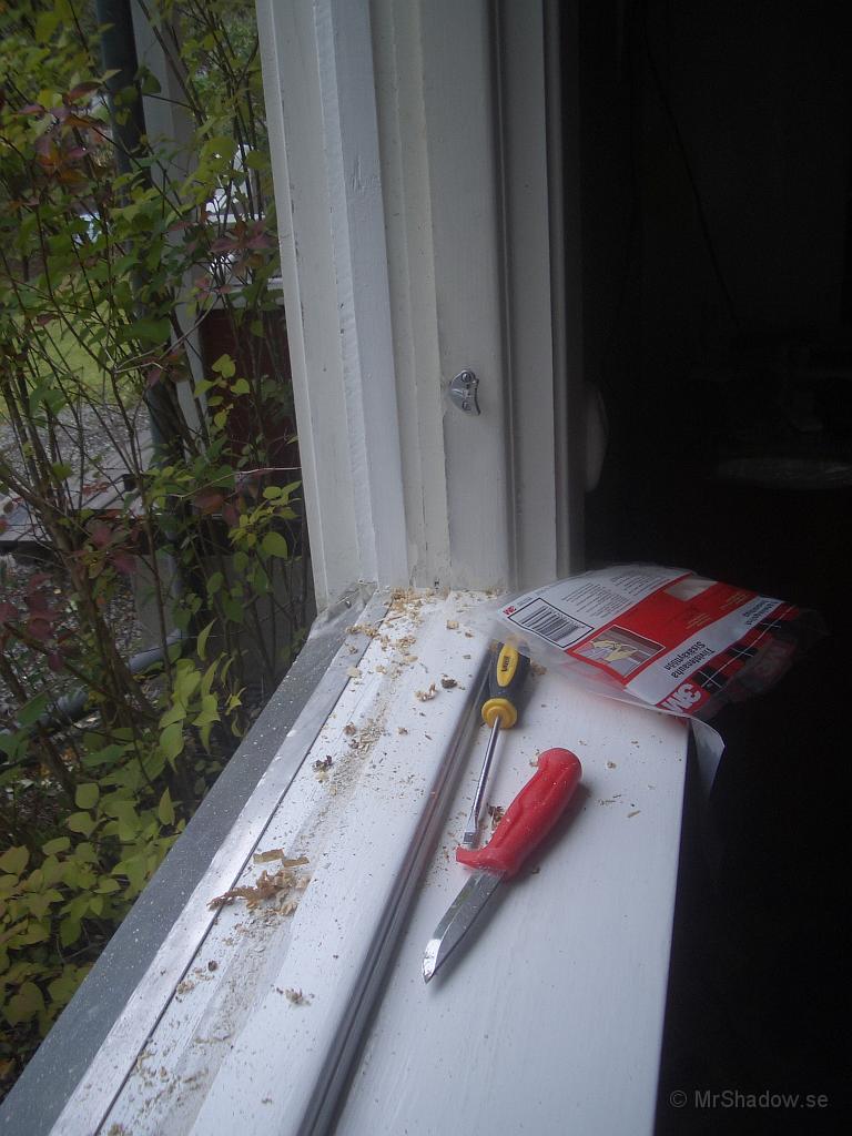 67_IMGP4196.JPG