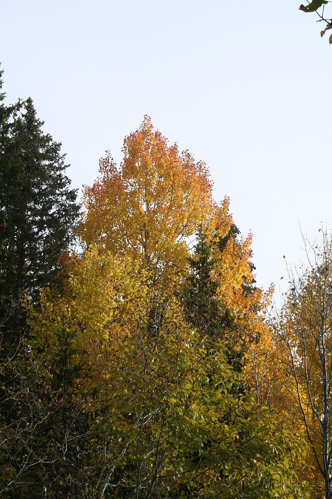 IMG_2743.JPG