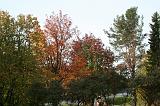 IMG_2741