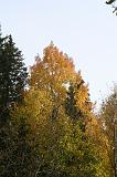 IMG_2743