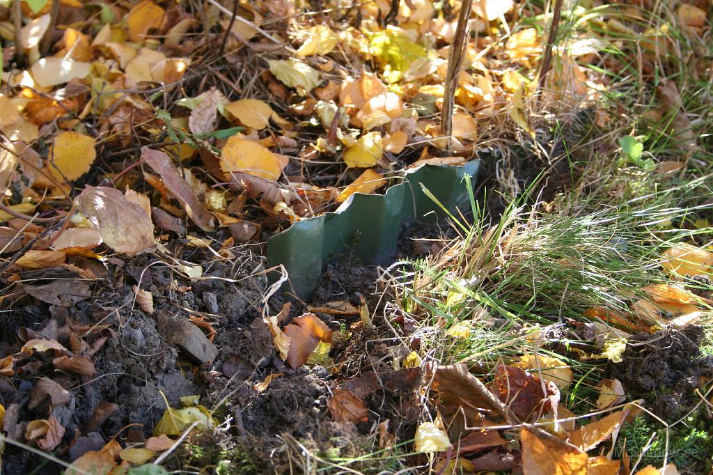 IMG_2774.JPG - Grönmålad är ju plåten ocksåSamma färg (plåt) som på taket...
