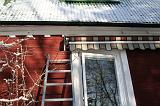IMG_2995