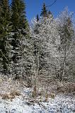 IMG_3004