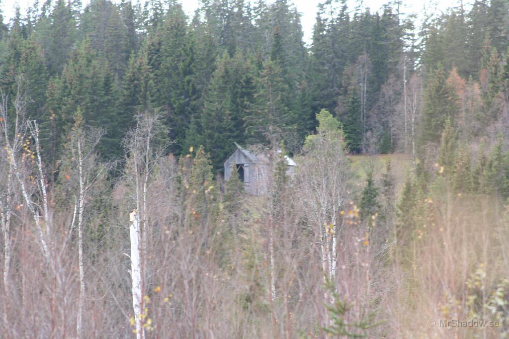04IMG_3044.JPG
