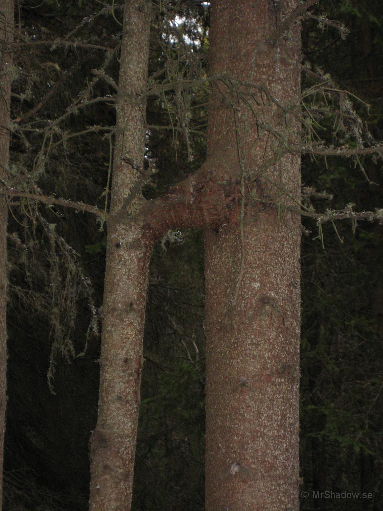 IX70_0047.JPG