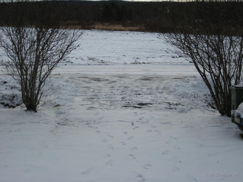 IX70_0056.JPG