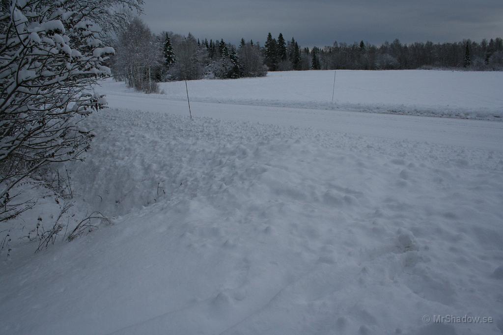 011_IMG_3090.JPG