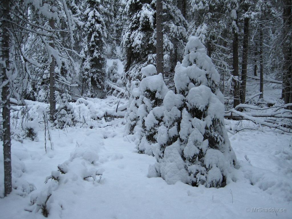 057_IX70_0104.JPG