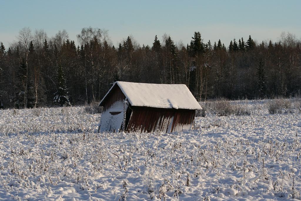 061_IMG_3119.JPG