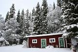 005_IMG_3084