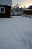 044_IMG_3110