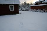 046_IMG_3112