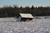 061_IMG_3119