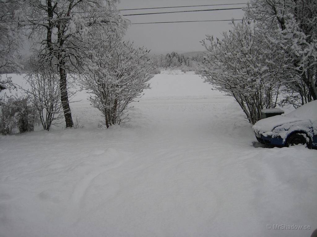 IX70_0112.JPG - Ser ut som att det blir lite jobb...