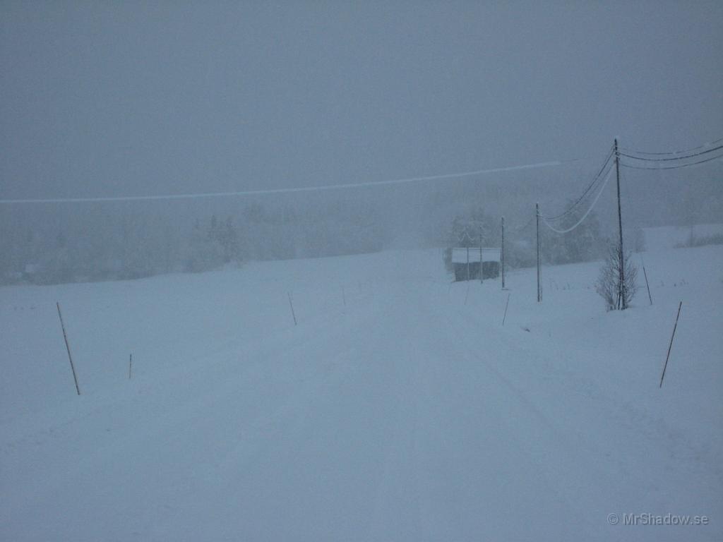 IX70_0119.JPG - White Out