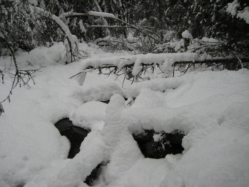 IX70_0125.JPG - Bäcken. Lite mer snö nu än förra veckan