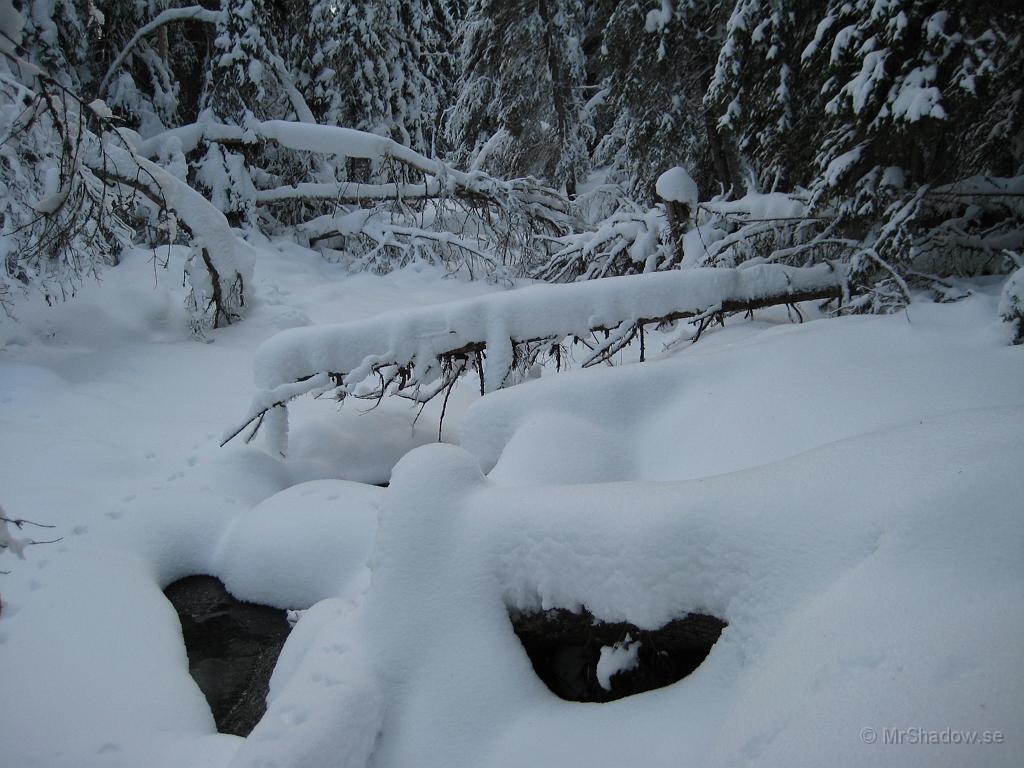 IX70_0218.JPG - Bäcken lördag 8/12Det porlar fortfarande under snön