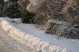 IMG_3198