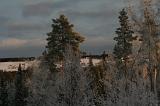 IMG_3206