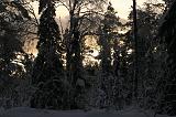 IMG_3209
