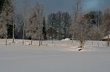 IMG_3221