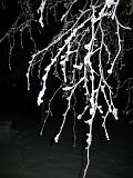 IX70_0255
