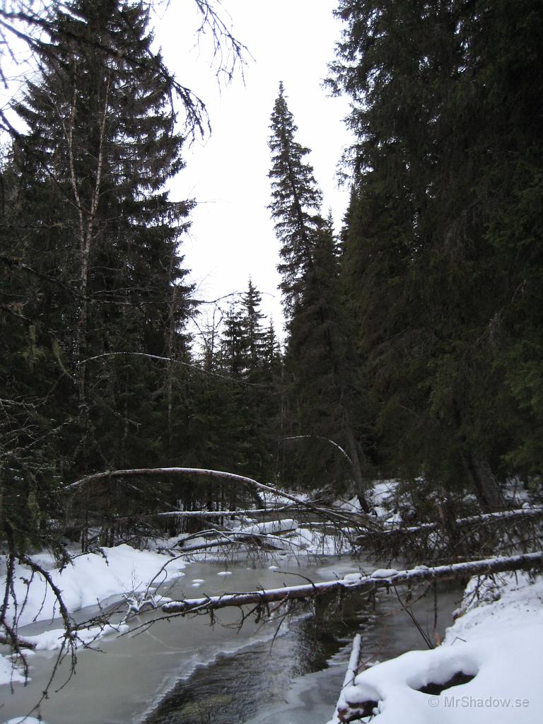IX70_0352.JPG - Bäcken tredjedan