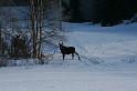 IMG_3327