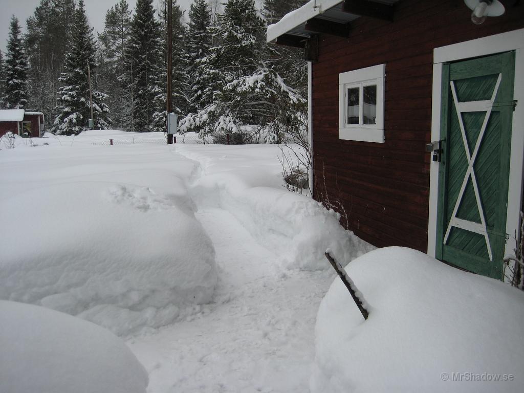 IX70_0609.JPG - Det är nog 60-70 cm i vart fall