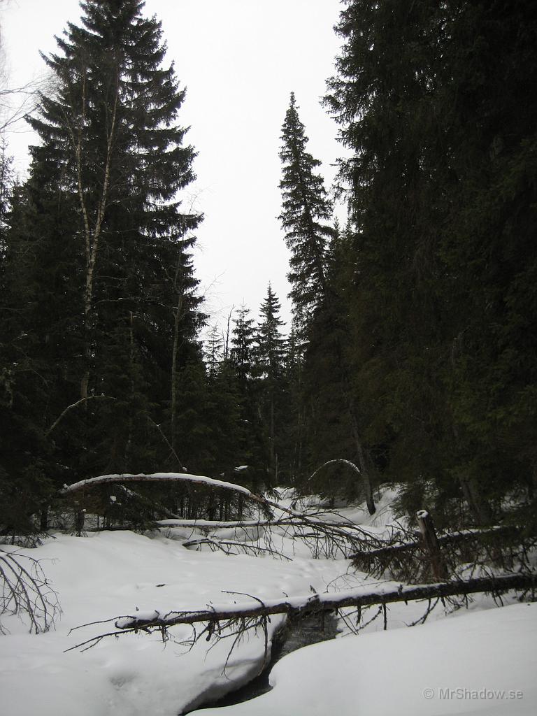 IX70_0824.JPG - Vid ån ser man mer vatten än för en vecka sedan
