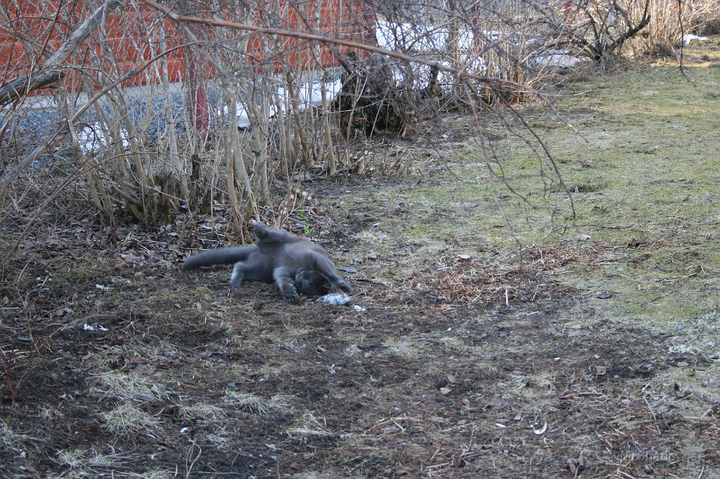 IMG_3641.JPG - Går att leka med i vart fall.