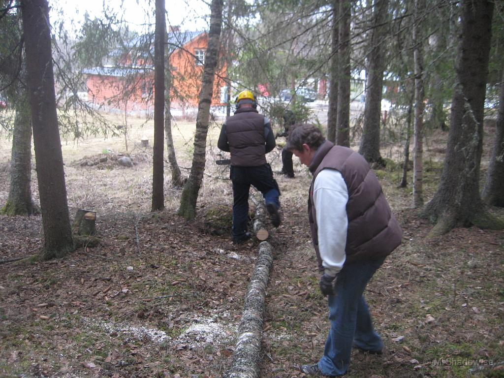 IX70_0953.JPG - Bara att släpa hem till vedbacken