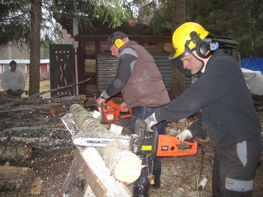 IX70_0959.JPG - Efter att i höstas testat synkroniserad vedhuggning, så testas nu synkroniserad sågning med kjedjesåg, en eldriven och en bensindriven.