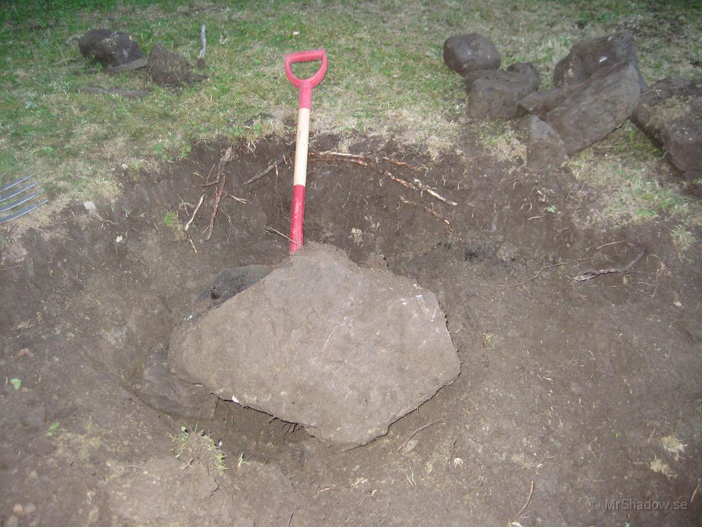 IX70_1059.JPG - Straxt under marknivå var det ett helt stenröse... och detta var en "liten" sten. Det var inte helt enkelt att få upp...