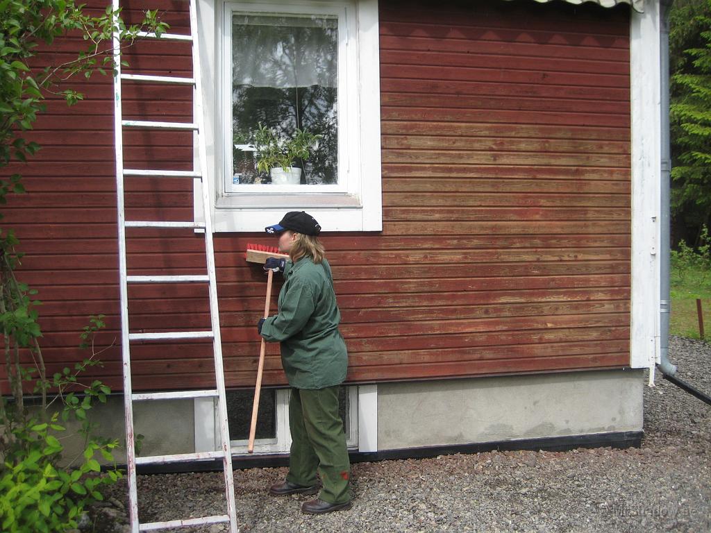 IX70_1266.JPG - Så var det södra sidan som befrias från gammalt pigment.