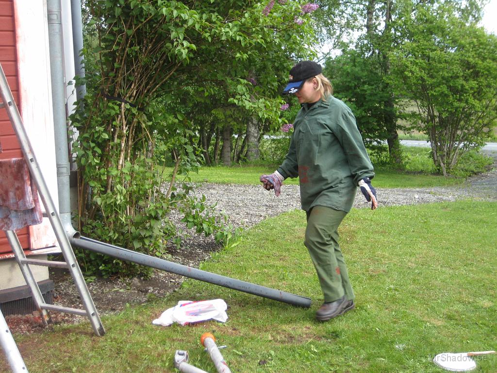 IX70_1272.JPG - T på språng mellan olika "jobb"