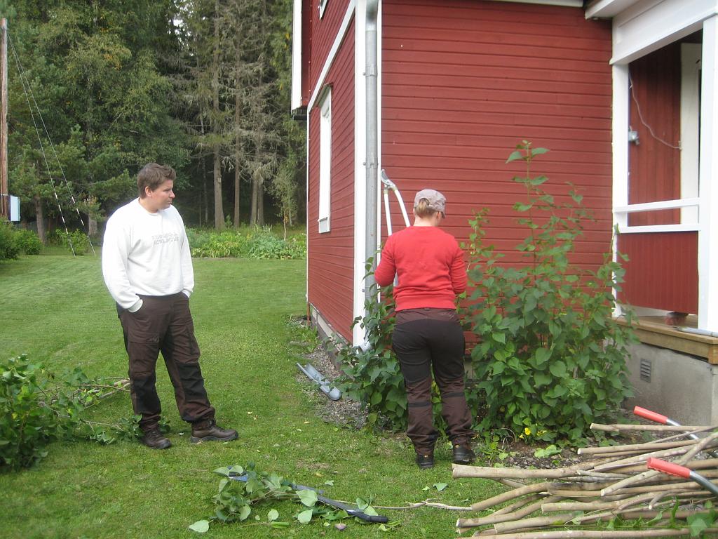 IX70_1641.JPG - Några spretiga årsskott kvar, men kolla lasset på skottkärran