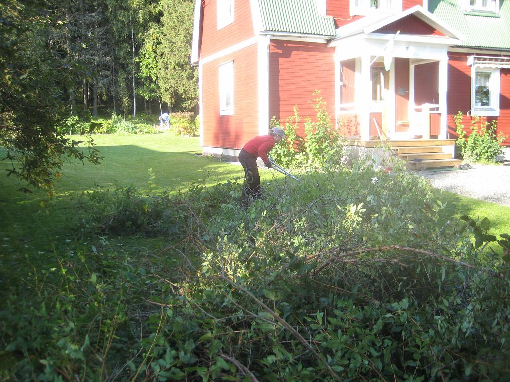IX70_1648.JPG - Lite risigt blev det på gräsmattan och farmor rensar trädgårdslandet i bakgrunden